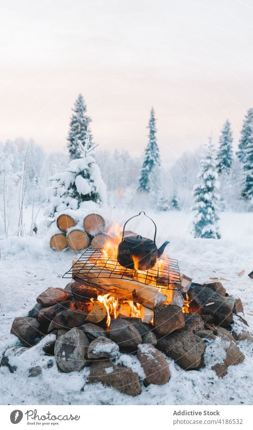 Kessel auf dem Lagerfeuer im verschneiten Wald bei Sonnenuntergang Freudenfeuer Schnee Winter Teekanne Natur Baum nadelhaltig wolkig Himmel Frost Dämmerung kalt
