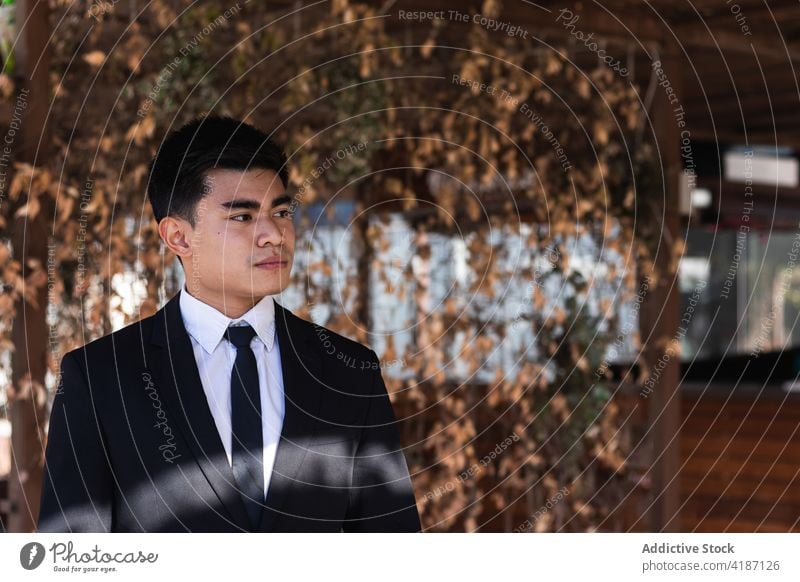 Asiatischer Geschäftsmann auf der Straße ernst Tracht gut gekleidet respektabel Unternehmer stilvoll Schatten sonnig männlich asiatisch ethnisch Mann Anzug