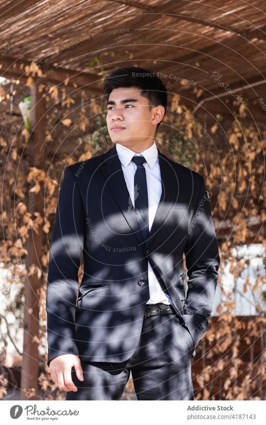 Asiatischer Geschäftsmann auf der Straße ernst Tracht gut gekleidet respektabel Unternehmer stilvoll Schatten sonnig männlich asiatisch ethnisch Mann Anzug