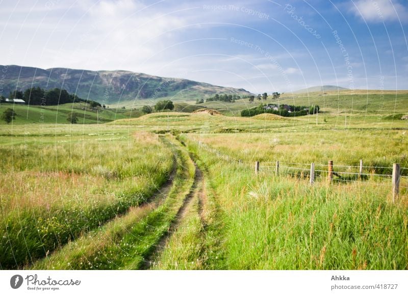 Grüne Wiesenlandschaft im sommerlichen Schottland, Feldweg Leben harmonisch Sinnesorgane ruhig Meditation Ferien & Urlaub & Reisen Abenteuer Ferne Freiheit