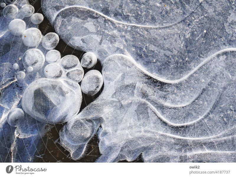 Erstarrte Bewegung Eis Frost Wellen frieren kalt Winter Natur Umwelt gefroren Linie Kugel Nahaufnahme Detailaufnahme Luftblase Außenaufnahme abstrakt Muster