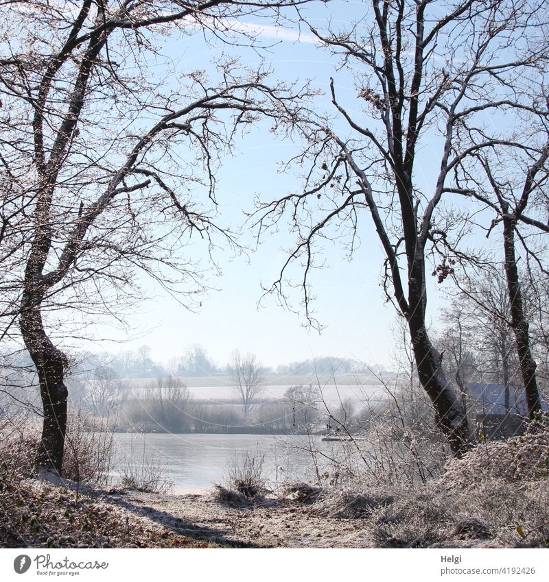 Winterstimmung - zwei Bäume bilden durch ihre Äste ein Tor zum gefrorenen See Baum Moorsee Hücker Moor Wintermorgen Frost Kälte Raureif Natur Außenaufnahme