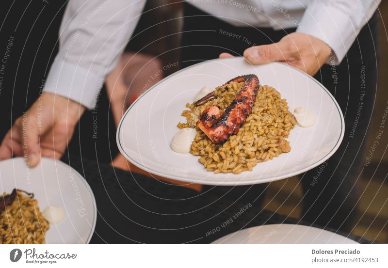 Ein köstlicher Gourmet-Teller Reis mit Oktopus-Tentakel in einem maritimen europäischen Luxusrestaurant Octopus Lebensmittel Paella Küche Speise gekocht