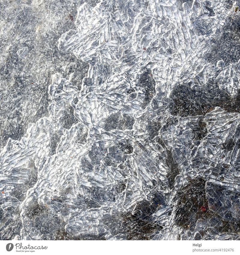 Ordnung im Chaos - Muster und Strukturen in einer Eisfläche Winter Kälte Eisstruktur außergewöhnlich kalt Strukturen & Formen Frost Außenaufnahme Menschenleer