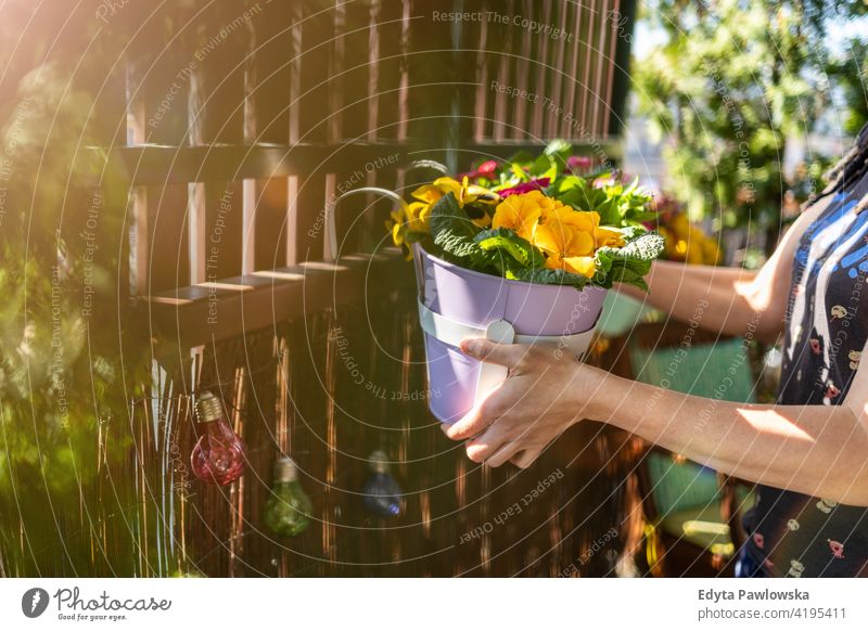 Junge Frau, die sich auf dem Balkon um ihre Pflanzen kümmert Beteiligung Hände farbenfroh Überstrahlung frisch geblümt Flora Dekoration & Verzierung Blüte