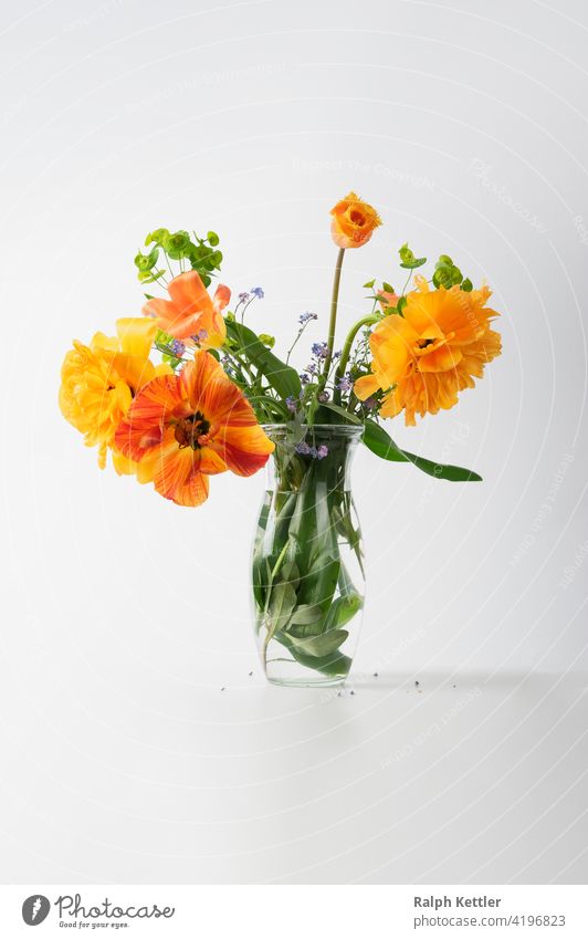 lockerer Frühlingsblumenstrauß mit Tulpen in einer Glasvase Blumenvase leuchtend hell freundlich Stillleben Blumenstillleben Dekoration Blüten grün orange gelb