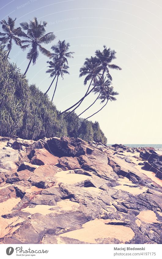 Retro getöntes Bild von einem tropischen Strand an einem sonnigen Sommertag. Paradies Natur retro Meer Sand MEER Felsen altehrwürdig reisen Insel Landschaft