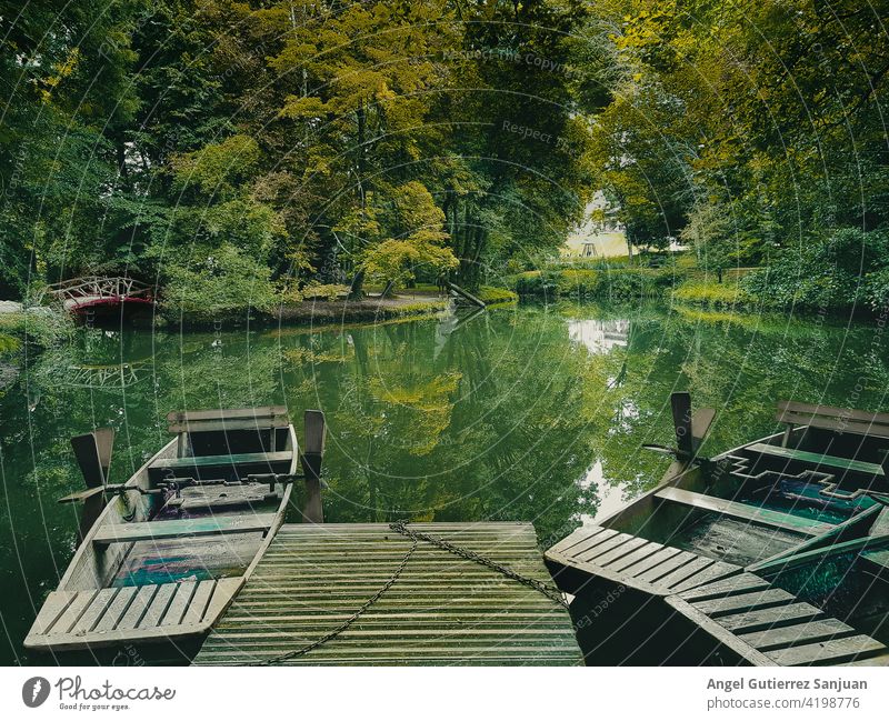 Kanus auf dem Fluss mit grünem Hintergrund Wasser Sport Natur Urlaub Wald Sommer reisen Luftaufnahme horizontal Erholung Reflexion & Spiegelung Landschaft Mann