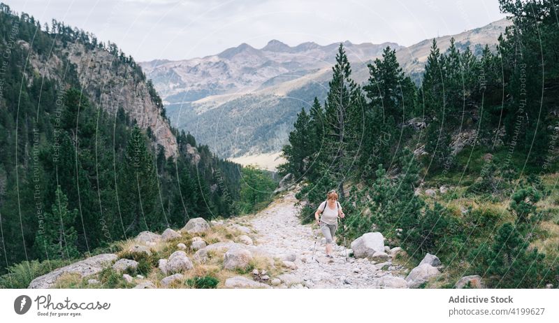 Aktive Frau, die mit Stöcken auf einem steinigen Berghang spazieren geht Spaziergang Stangengehen aktiv Hügel Weg Energie Trekking Nordic Walking physisch