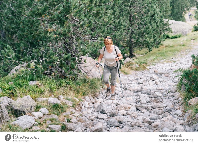 Aktive Frau, die mit Stöcken auf einem steinigen Berghang spazieren geht Spaziergang Stangengehen aktiv Hügel Weg Energie Trekking Nordic Walking physisch