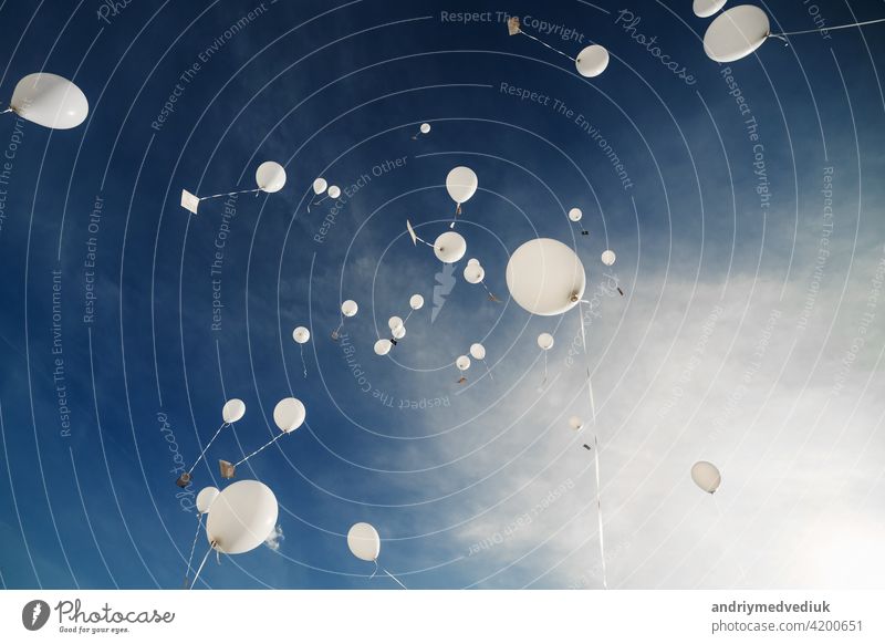 Weiße Luftballons fliegen in den blauen Himmel. Die Freisetzung festlicher Luftballons in den Wolken. Feiern und Fröhlichkeit. Luftgelkugeln in der Atmosphäre.