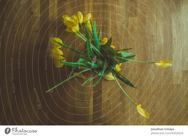 gelber Tulpenstrauß in Draufsicht auf Holztisch zum Muttertag Geschenk romantisch Pflanze grün Frühling Blumenstrauß schön Blüte Valentinshintergrund