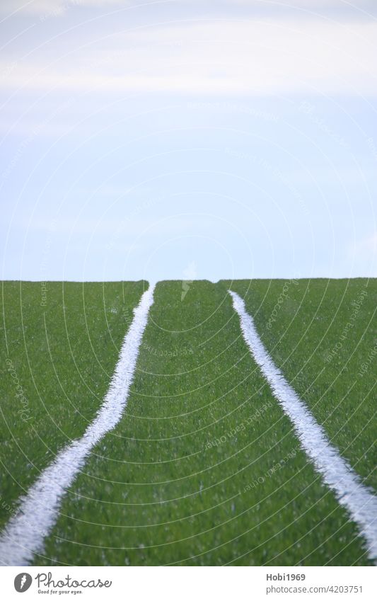 Fahrspuren auf einem Acker laufen am Horizont zusammen Himmel Fluchtpunkt parallel nebeneinander Traktor Dreck Erde Spur fahren Boden Reifen Profil Ackerbau