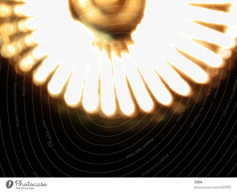 Spot Glühbirne Lampe Elektrisches Gerät Technik & Technologie Halogen