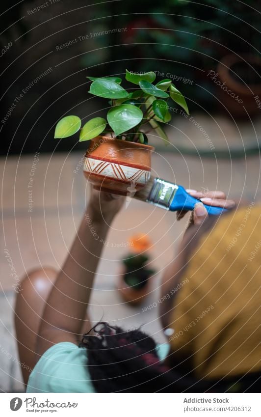 Anonyme schwarze Frau bemalt Topf mit Blume in Gewächshaus Gärtner Farbe Gartenbau Keramik Ton ethnisch Afroamerikaner Kalanchoe Blüte Blütezeit Botanik Flora