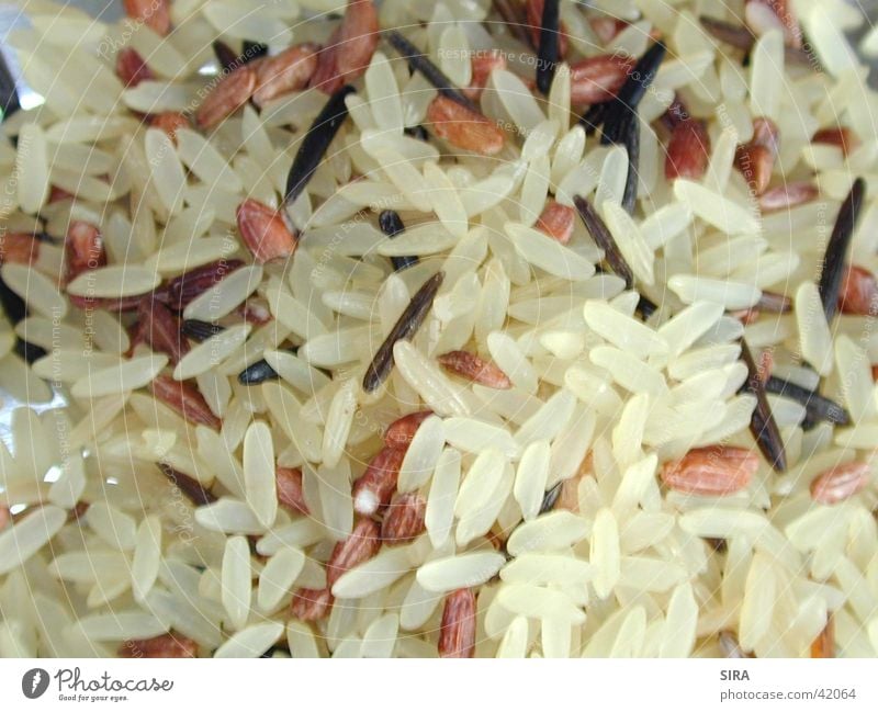 TriColore Ernährung Reis Getreide
