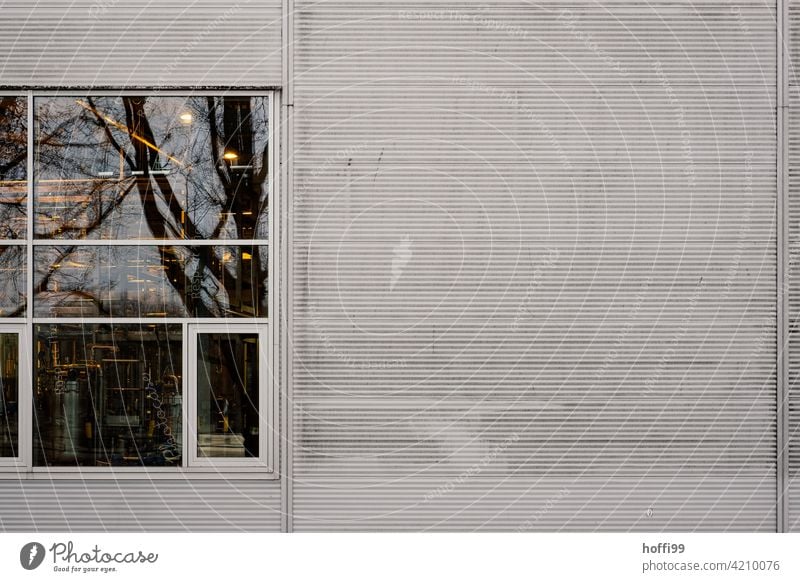 reflektierende Fenster einer grauer Wellblechwand Fensterscheibe Metallfassade Wellblechfassade Minimalismus Industrielle Fassade Lager Lagerhalle