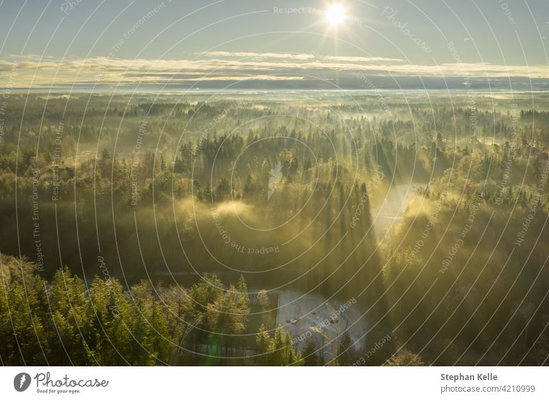 Wunderschöner nebliger Morgen mit einem Luftbild über einen nebligen Wald zur Winterzeit, während die Sonne die Baumkronen erwärmt. Nebel Antenne abstrakt Natur
