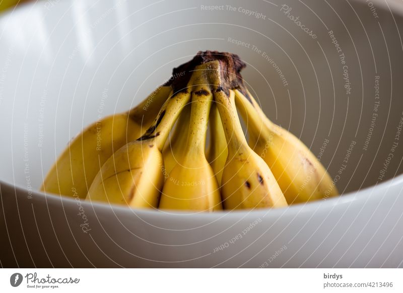 Bananen in einer Schüssel reif Frucht Ernährung Gesunde Ernährung Lebensmittel Obst Bioprodukte Vegetarische Ernährung süß Desertbanane Gesundheit Obstschale