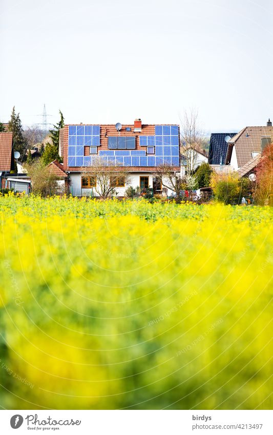 Photovoltaikanlage und thermische Solaranlage auf dem Dach eines am Ortsrand gelegenen Einfamilienhauses mit angrenzendem Rapsfeld PV-Anlage Stromgewinnung