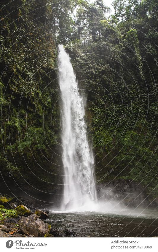Ein malerischer Wasserfall, der von einer moosbewachsenen Klippe herabstürzt Kaskade rau Natur tropisch strömen Kraft Park reisen Felsen Umwelt exotisch grün