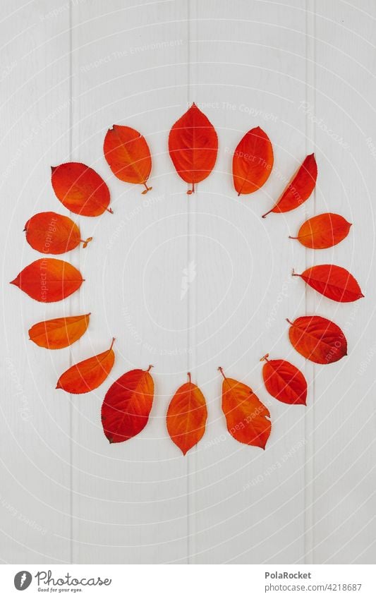 #A0# Herbstkreis herbstlich Herbstlaub Herbstfärbung Herbstbeginn Herbststimmung Blätter rot orange Natur