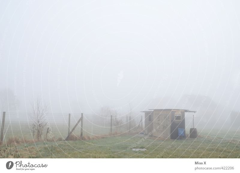 Heulendes Hüttchen Wetter schlechtes Wetter Nebel Regen Garten Dorf Stadtrand Menschenleer Hütte kalt nass Gefühle Stimmung Einsamkeit Endzeitstimmung Verfall