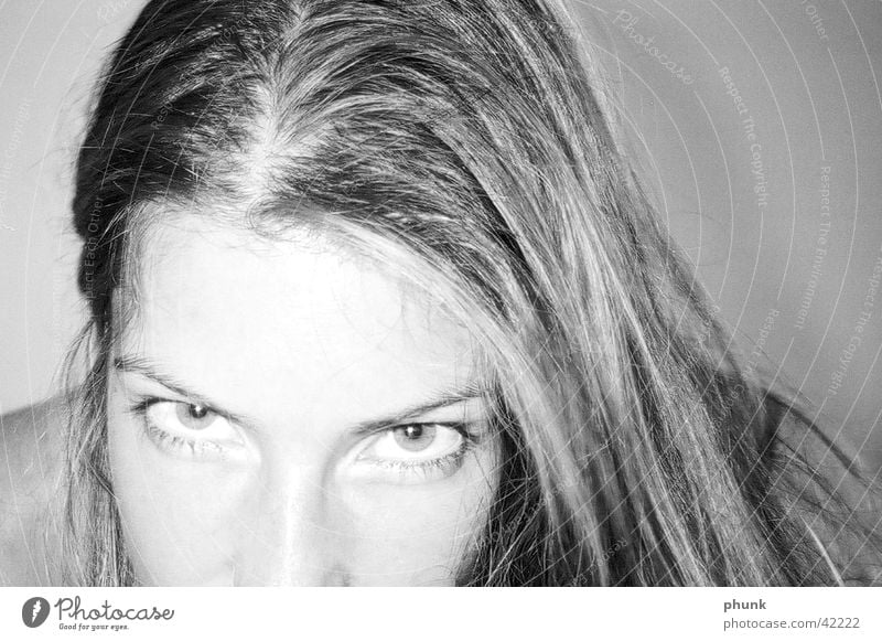 lovely Frau feminin herausfordernd Blick Auge Anschnitt Haare & Frisuren Schwarzweißfoto