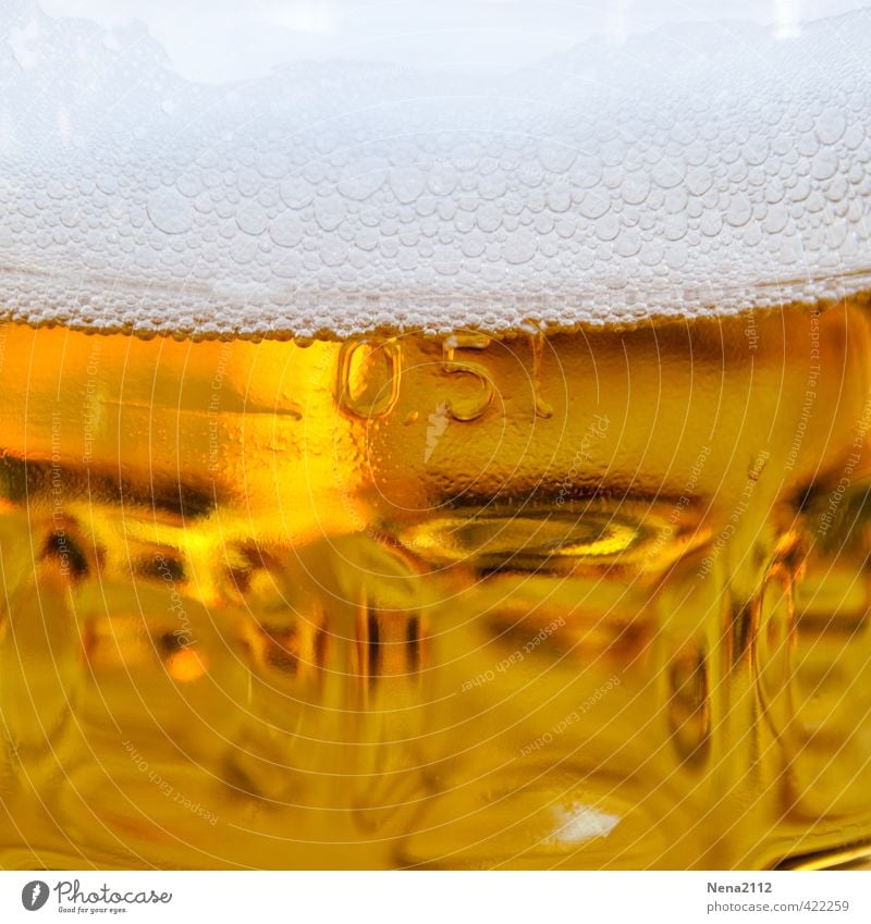 Einstieg in Wochenende Getränk Erfrischungsgetränk Alkohol Bier Glas Ferien & Urlaub & Reisen Nachtleben Bar Cocktailbar trinken Billig lecker gelb gold