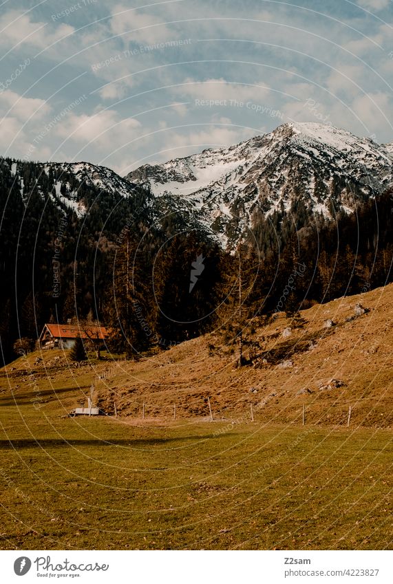 Berglandschaft Oberbayern | Bayrischzell alpenvorland naturverbundenheit outdoor soinsee wandern bayerischzell oberbayern berge frühling wiese grün weg