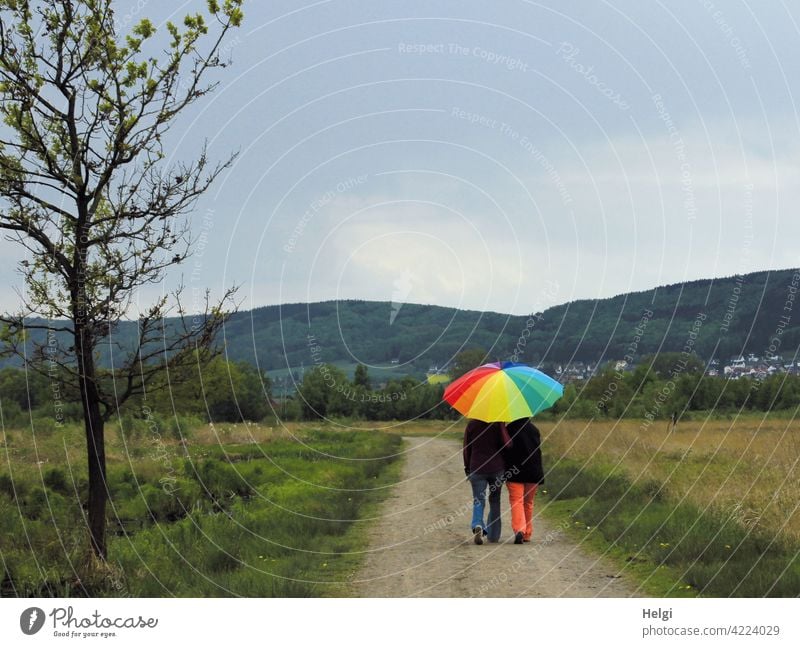 gut beschirmt - Rückansicht von zwei Personen unter einem bunten Regenschirm auf einem Weg im Moor Menschen Rücksansicht Schirm Landschaft Natur Moorlandschaft