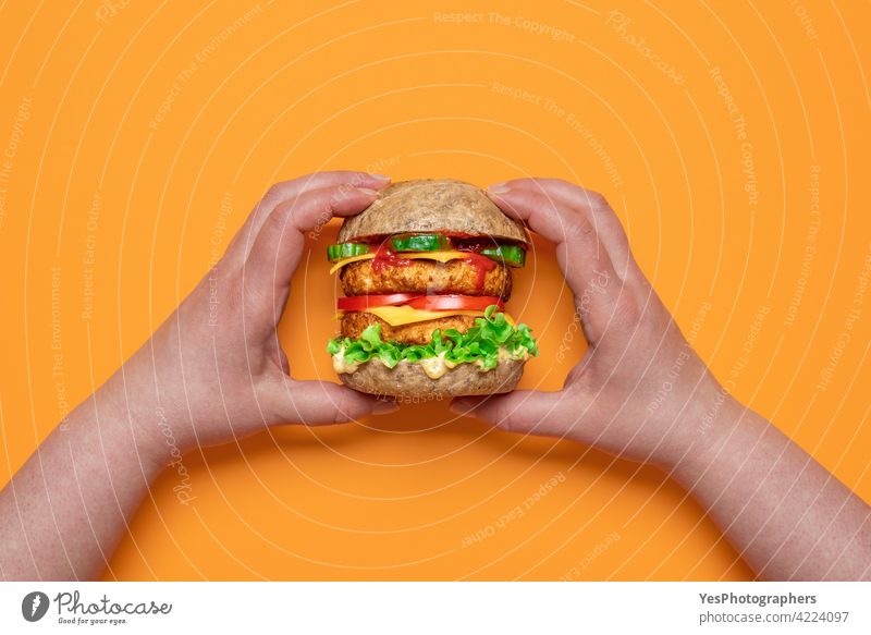 Veggie-Burger Ansicht von oben. Frau Hände halten einen veganen Cheeseburger. alternativ Erkenntnis Hintergrund Brot Käse Farbe Konsumverhalten Küche