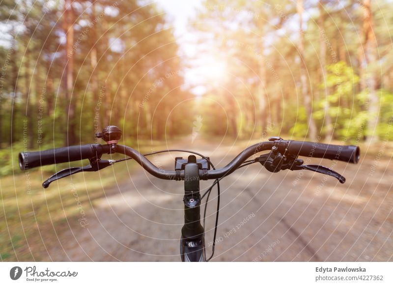 Fahrrad im Herbstwald Sommer Natur Wald wild grün im Freien Wildnis Pflanze Baum Tag Ruhe tagsüber Weg von all dem Outdoor-Veranstaltung Freiheit Wunder Lust