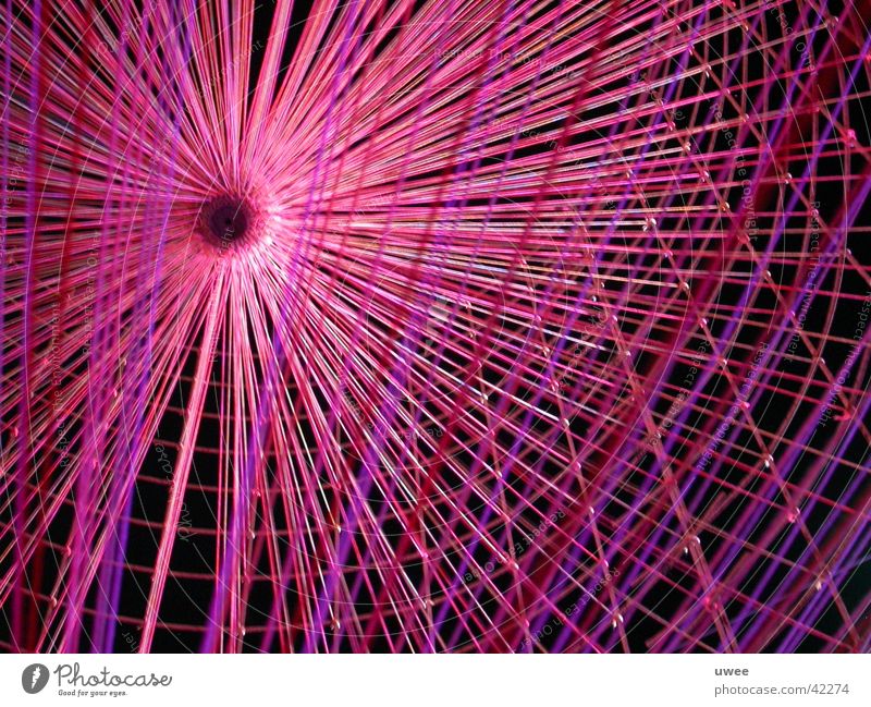 spider network Spinne rosa Dinge Nähgarn Farbe Netz Netzwerk Dekoration & Verzierung color
