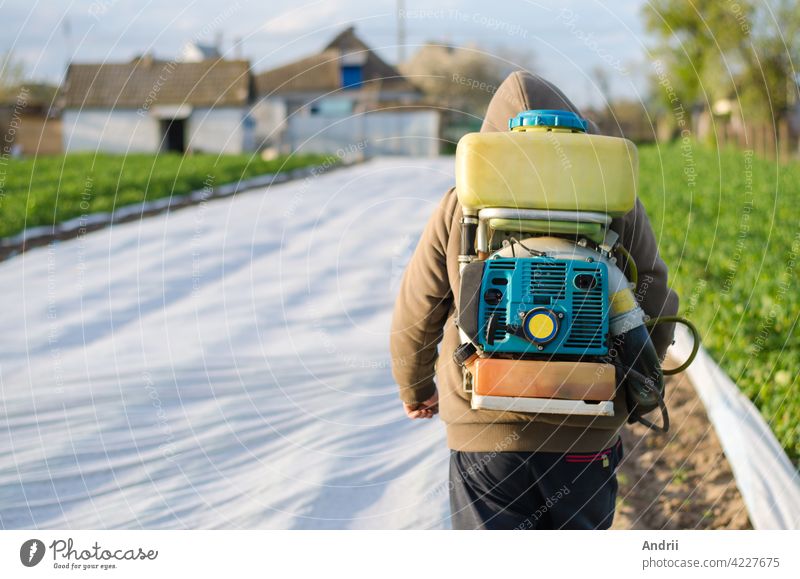 Ein Landwirt geht mit einer Nebelspritze auf dem Rücken durch das Ackerfeld. Schutz der angebauten Pflanzen vor Insekten und Pilzbefall. Der Einsatz von Chemikalien zum Pflanzenschutz in der Landwirtschaft