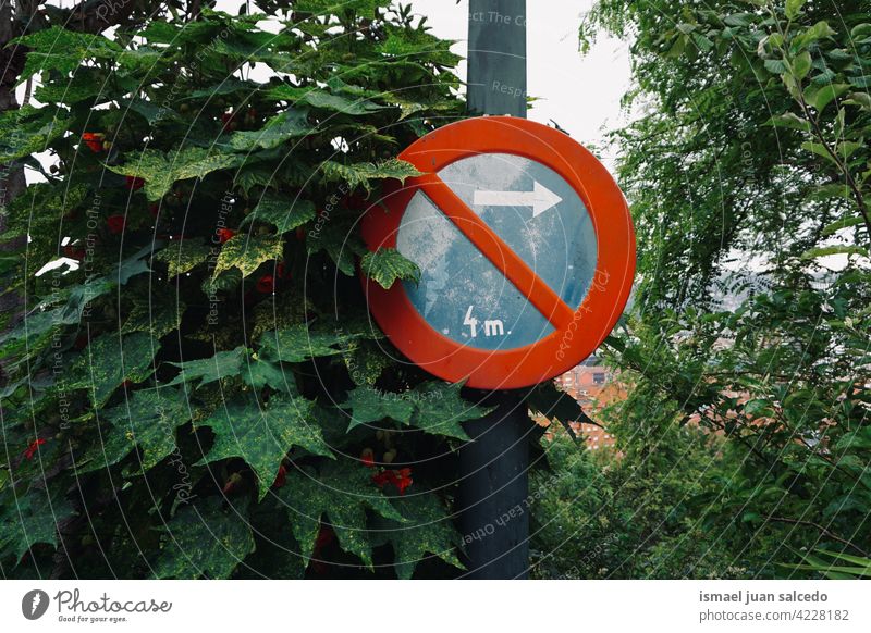 Parkverbot auf der Straße siganl parken verboten Verbot Ampel Verkehrsgebot signalisieren Pfeil rot blau Ermahnung Großstadt Verkehrsschild Zeichen Symbol Weg