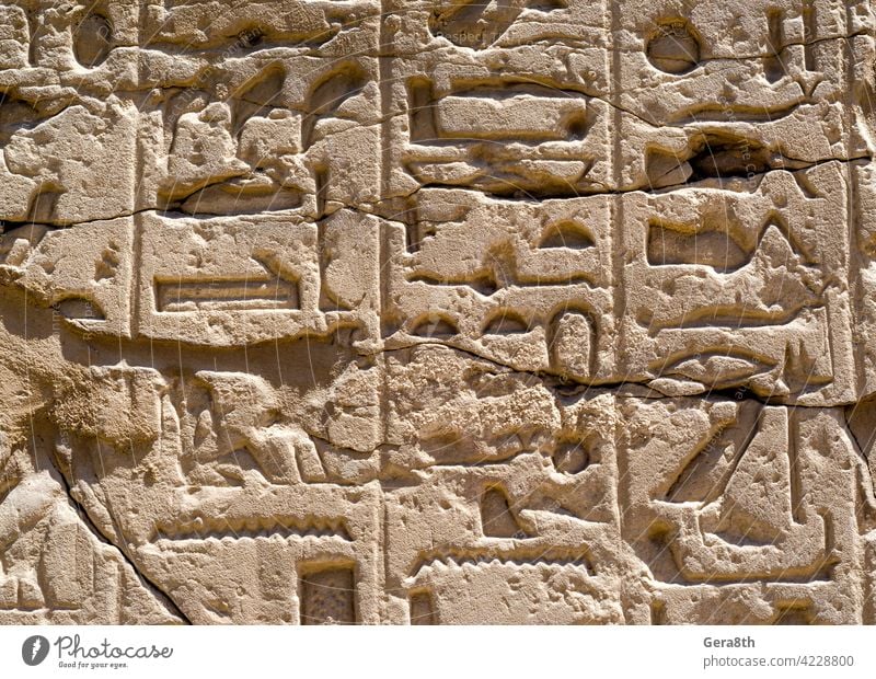 Altägyptische Hieroglyphen an der Wand in Luxor in Ägypten Afrika Ägypter Ägyptische Hieroglyphen antik altes Alphabet alte Buchstaben Architektur authentisch