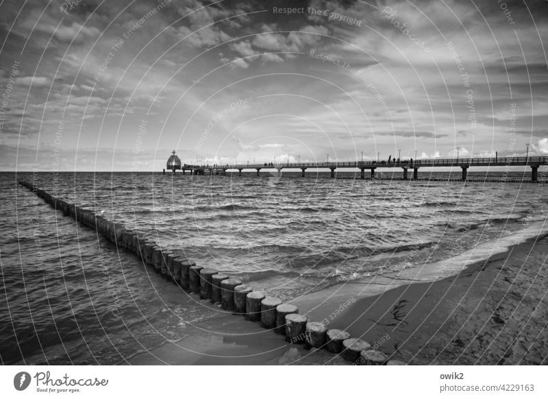 Brückenbau Seebrücke Ostsee Küste Horizont Himmel Wolken Außenaufnahme maritim Konstruktion Holz Menschen Bauwerk Wasser Landschaft Meer Strand Zingst
