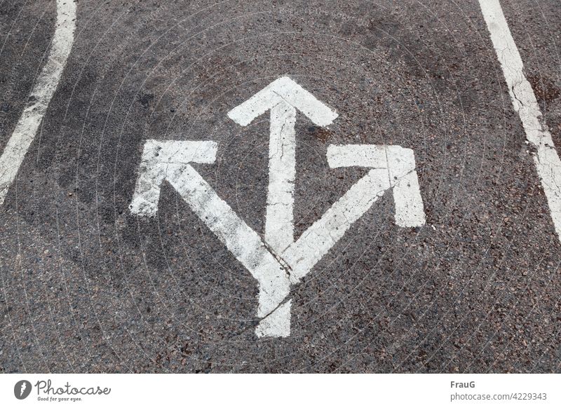 Empfehlung| nur nicht rückwärts...! Straße Asphalt Markierung Pfeile nach rechts nach links geradeaus Richtung richtungsweisend Wegzeichen Fahrbahnmarkierung