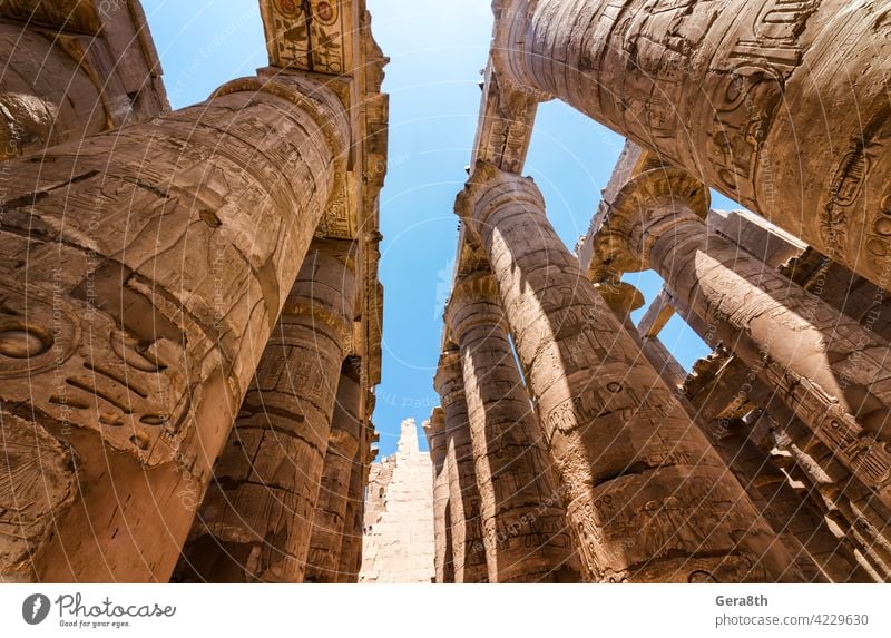 antike Statue in der Säulenhalle in Luxor in Ägypten Afrika Ägypter Antiquität Architektur authentisch blau Gebäude Kairo schließen abschließen Farbe Spalte