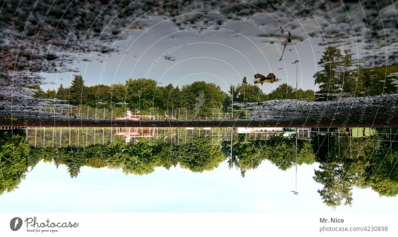 auf den kopf gestellt I oben ist unten Reflexion & Spiegelung Pfütze Wasser Umwelt Himmel Regenwasser matschig Matsch Sportplatz Bäume nass Natur unbespielbar