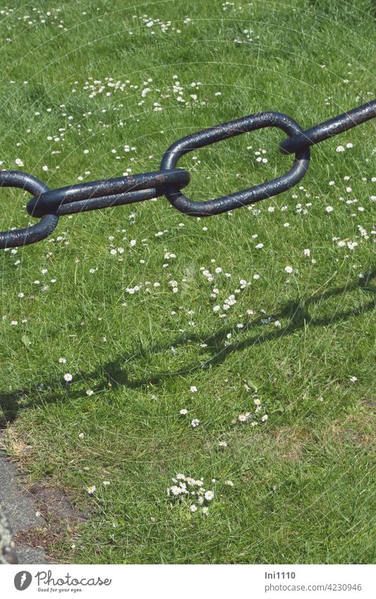 Kettenglieder aus Metall werfen ihren Schatten auf Wiese mit Gänseblümchen Metallkette Eisenkette schwer Absperrung Abtrennung rostig schwarz Schattenwurf Gras