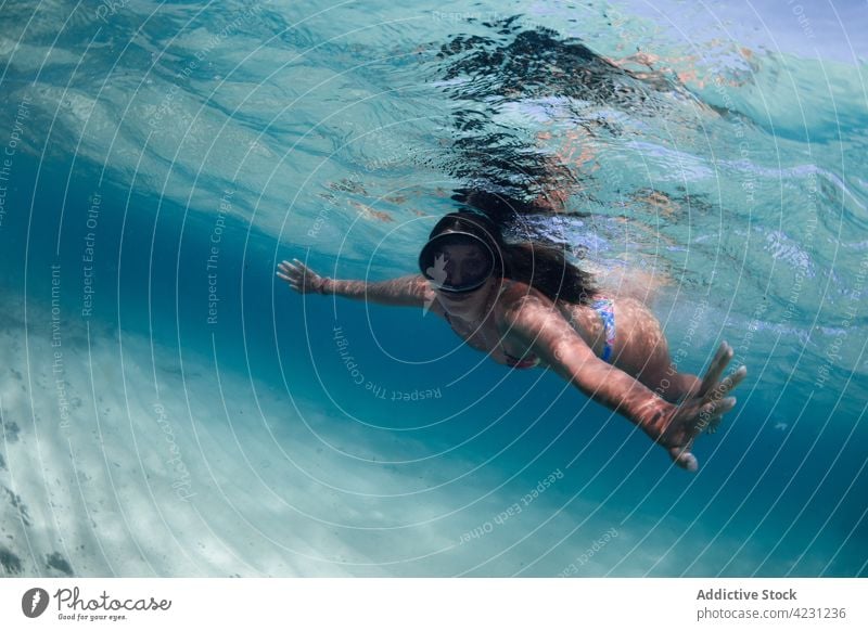 Reisende mit Tauchermaske schwimmen unter Meerwasser Reisender unter Wasser Schnorchel üben MEER Reflexion & Spiegelung Mundschutz Tauchen Frau Badeanzug