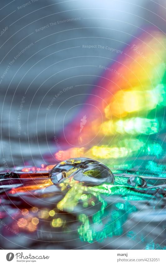 Reine, klare Wassertropfen beleuchtet durch einen knalligen Regenbogen Reflexion & Spiegelung Tropfen Lichtbrechung Lichterscheinung Experiment Farbfoto
