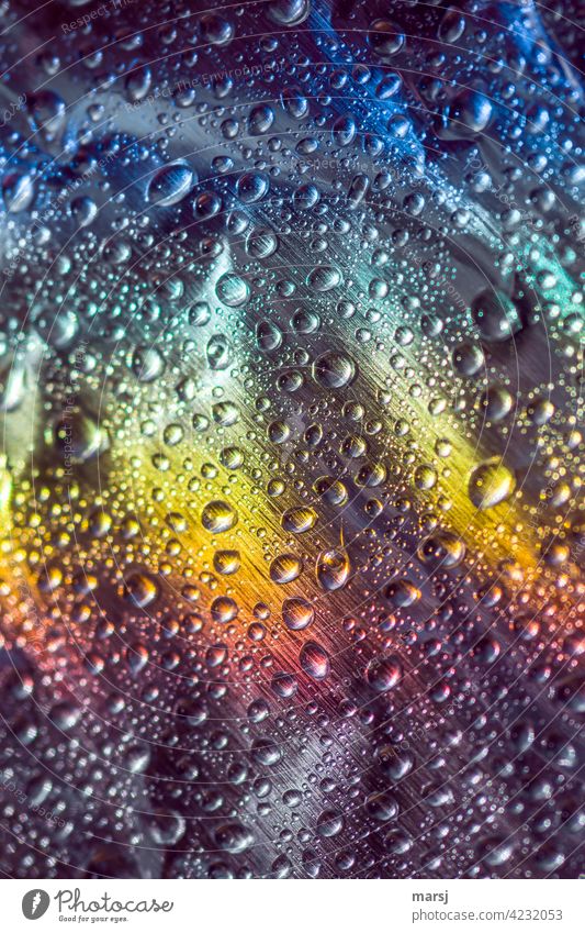 Auch Regen hat seine bunten Seiten Tropfen Wassertropfen Reflexion & Spiegelung Lichterscheinung Experiment Farbfoto mehrfarbig regenbogenfarben trashig knallig