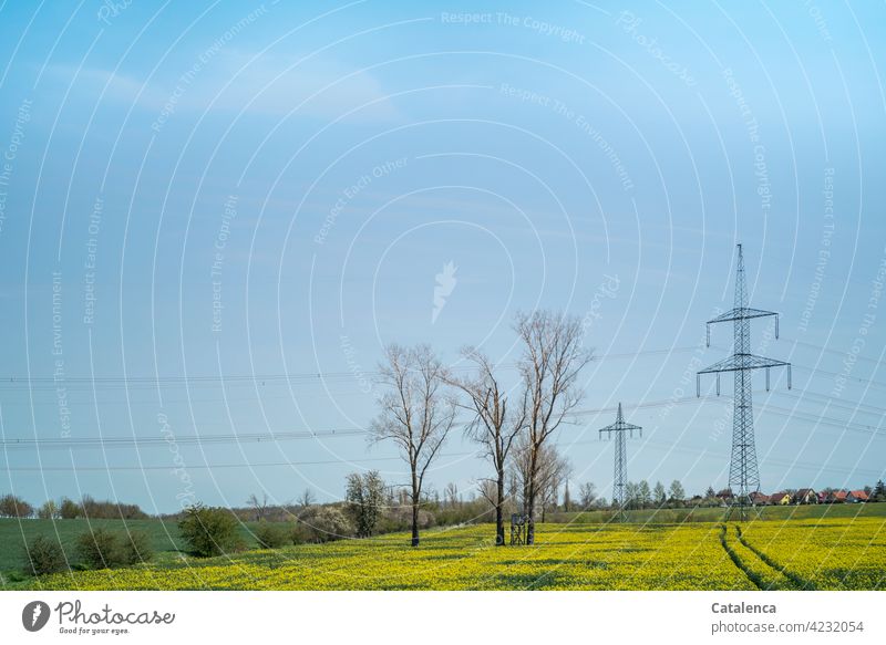 Strommasten,  blühendes Rapsfeld, Bäume, Wiesen und der Himmel im Frühling Natur Landschaft Flora Pflanze Energie Stromkabel Stromversorgung Feld Landwirtschaft