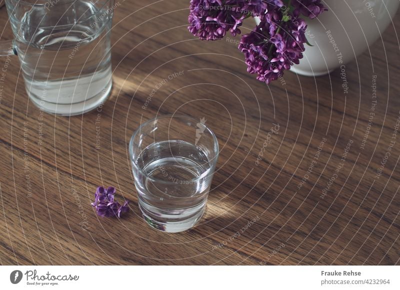 Glas und Glaskaraffe mit Wasser auf einem Holztisch mit Flieder in der Vase Wasserglas Karaffe trinken Durst Erfrischung Gesundheit kalt Durstlöscher Getränk