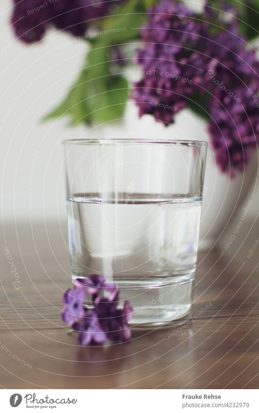 Glas mit Wasser... mit Flieder Dekoration Wasserglas Mineralwasser Glas Wasser trinken frisch Durst löschen gesund violett Frühling Vase weiß grün in der Vase