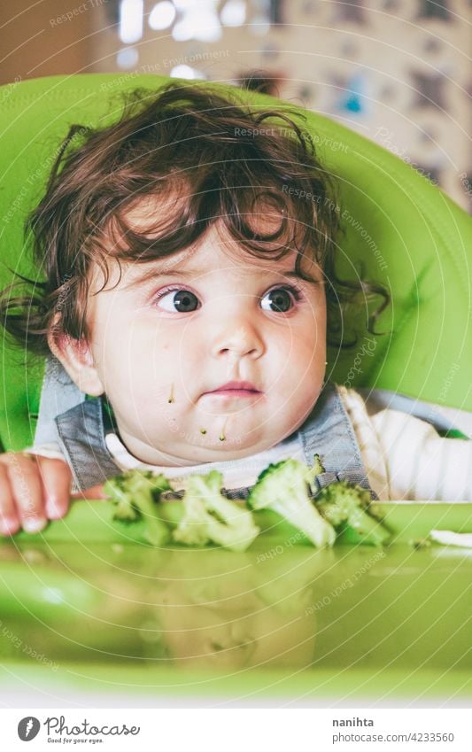 Baby isst Essen in ihrem grünen Hochstuhl blw Baby-Bleiwatte Gemüse Lebensmittel Brokkoli Veganer Vegetarier Gesundheit Diät weiß Kaukasier Beikost füttern