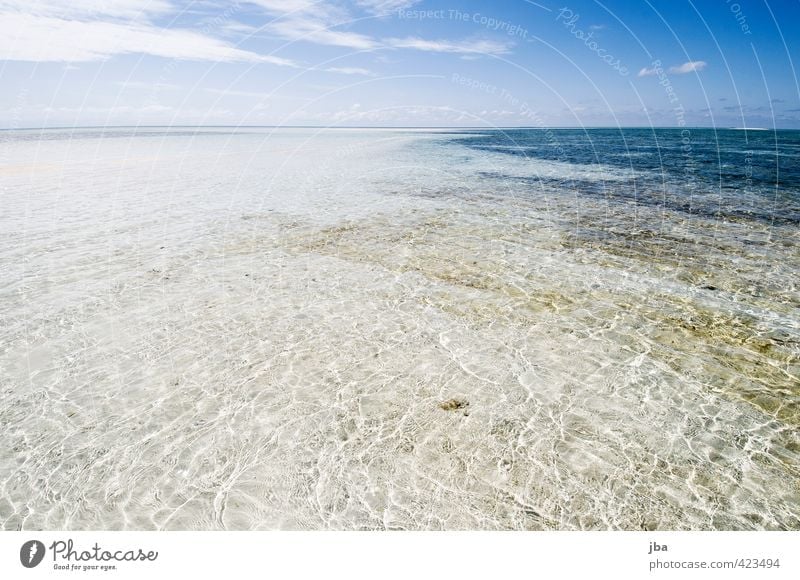 seicht II Wohlgefühl Zufriedenheit Erholung ruhig Ferien & Urlaub & Reisen Ferne Sommer Sommerurlaub Sonne Strand Meer Insel Wellen Natur Landschaft Urelemente